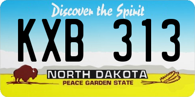 ND license plate KXB313
