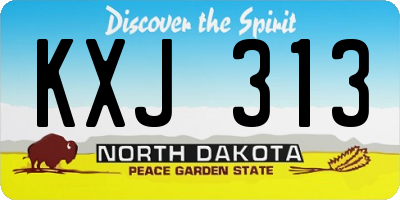 ND license plate KXJ313