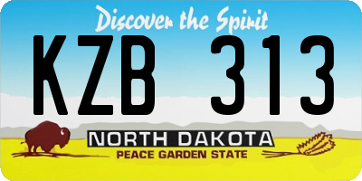ND license plate KZB313