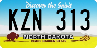 ND license plate KZN313