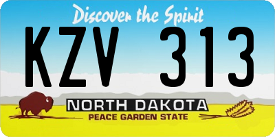 ND license plate KZV313