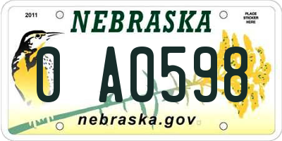NE license plate 0A0598