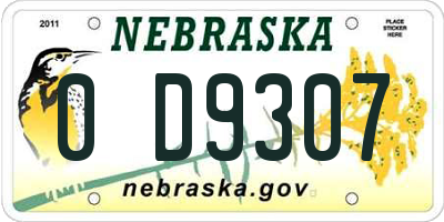 NE license plate 0D9307