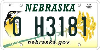 NE license plate 0H3181