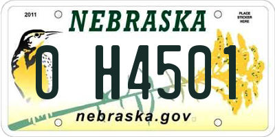 NE license plate 0H4501
