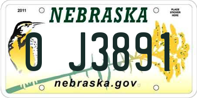 NE license plate 0J3891