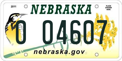 NE license plate 0O4607