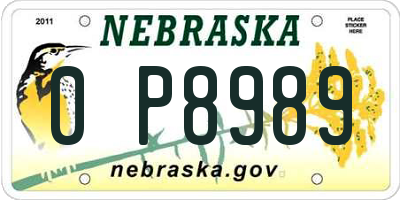 NE license plate 0P8989