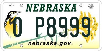 NE license plate 0P8999
