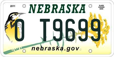 NE license plate 0T9699