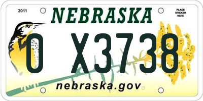 NE license plate 0X3738