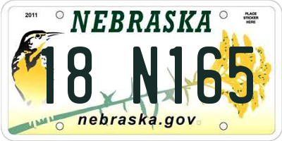 NE license plate 18N165