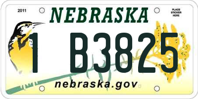 NE license plate 1B3825