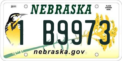 NE license plate 1B9973