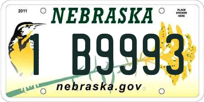 NE license plate 1B9993