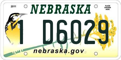 NE license plate 1D6029