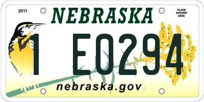 NE license plate 1E0294