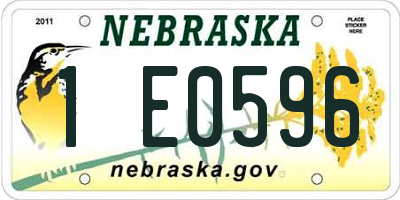 NE license plate 1E0596