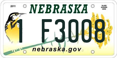 NE license plate 1F3008