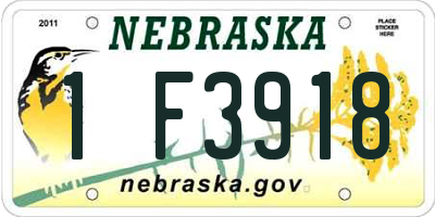 NE license plate 1F3918