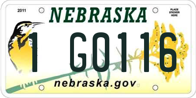NE license plate 1G0116