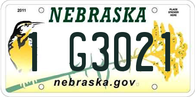 NE license plate 1G3021