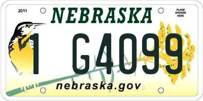 NE license plate 1G4099