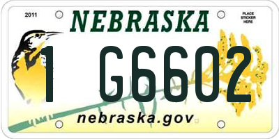 NE license plate 1G6602