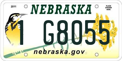 NE license plate 1G8055