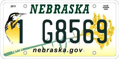NE license plate 1G8569