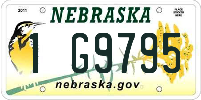 NE license plate 1G9795