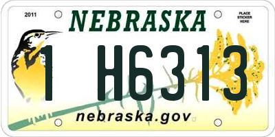 NE license plate 1H6313