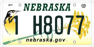 NE license plate 1H8077