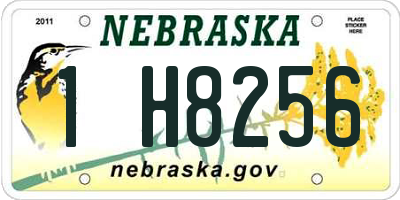 NE license plate 1H8256