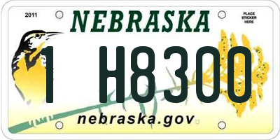 NE license plate 1H8300