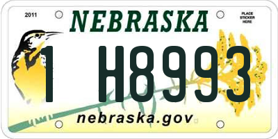 NE license plate 1H8993