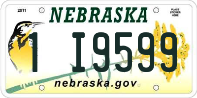 NE license plate 1I9599