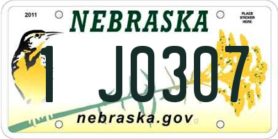 NE license plate 1J0307