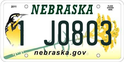 NE license plate 1J0803
