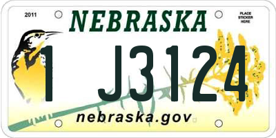 NE license plate 1J3124