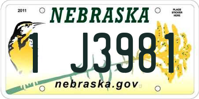 NE license plate 1J3981