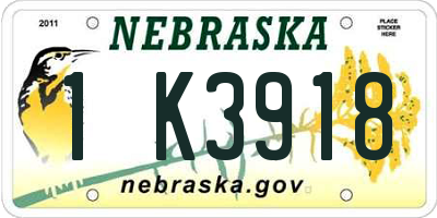 NE license plate 1K3918