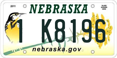 NE license plate 1K8196
