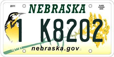 NE license plate 1K8202