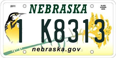 NE license plate 1K8313