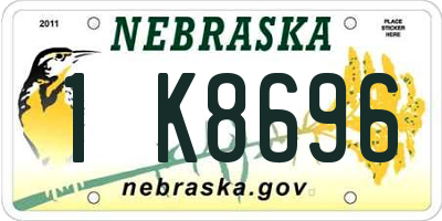 NE license plate 1K8696