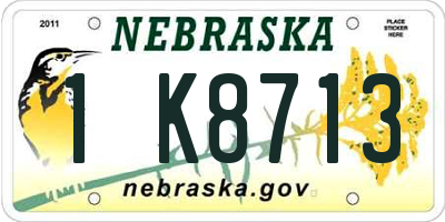 NE license plate 1K8713