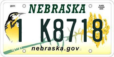 NE license plate 1K8718