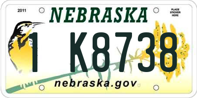 NE license plate 1K8738