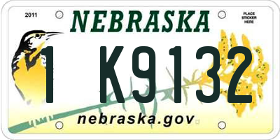 NE license plate 1K9132